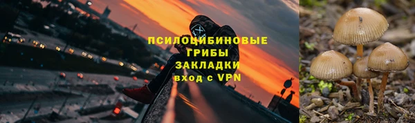 бошки Абинск