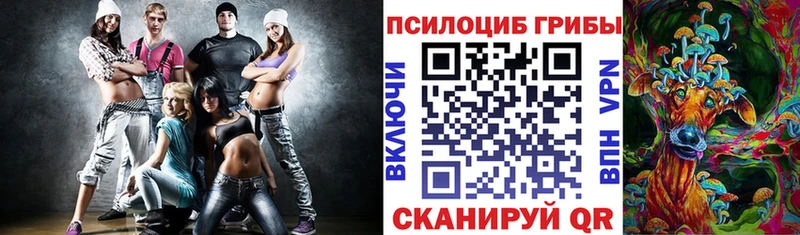omg как войти  Чебаркуль  Галлюциногенные грибы Psilocybe 